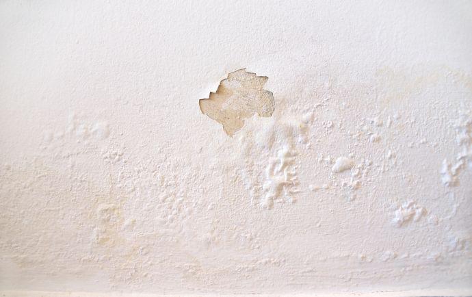 Muur met afbladderende verf als gevolg van vocht in huis